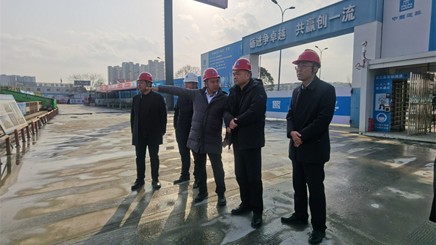 圖1：集團黨委書記、董事長肖林督導(dǎo)九華府項目