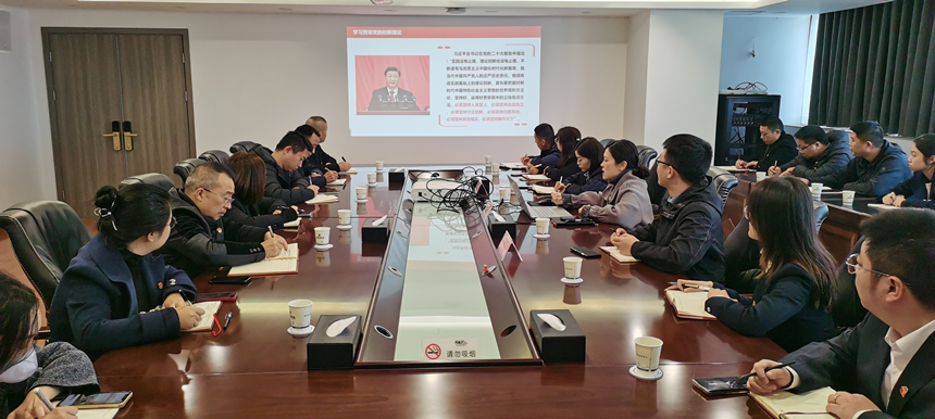 集團(tuán)黨委委員、副總經(jīng)理賀維維同志講授專題黨課
