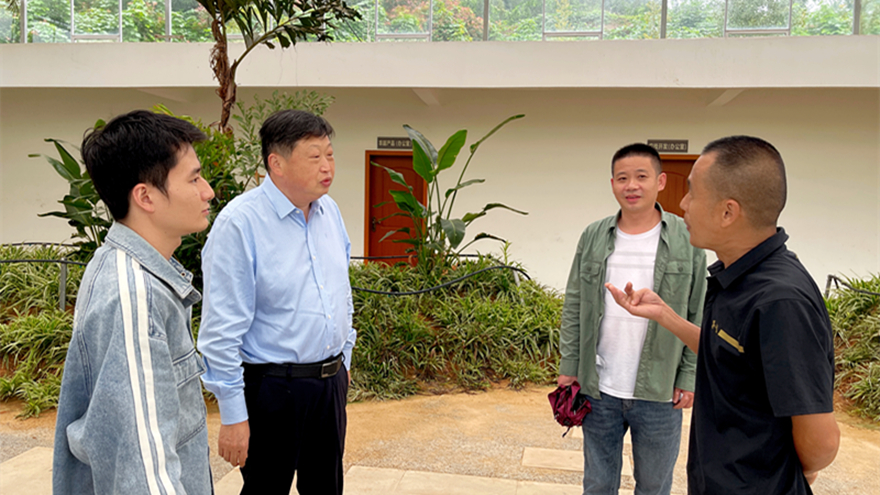 綿投集團(tuán)黨委書記、董事長李桂炳調(diào)研鄉(xiāng)村振興駐村幫扶工作